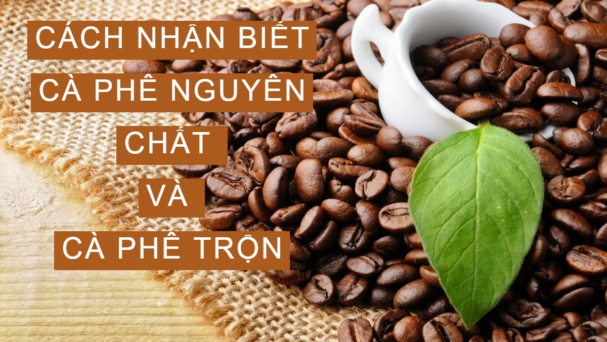 8 MẸO NHẬN BIẾT CÀ PHÊ SẠCH NGUYÊN CHẤT VÀ CÀ PHÊ PHA TRỘN
